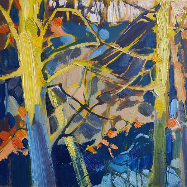 North East Artist Archives Clare Money Visual Artist